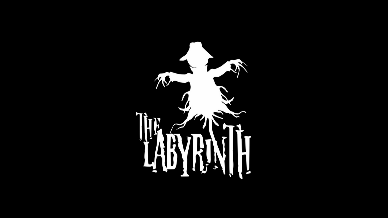 The Labyrinth Notts Maze 1 1